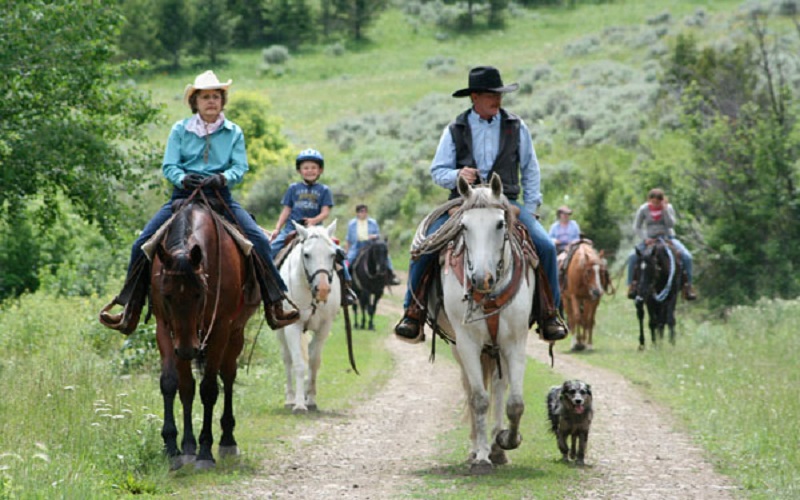  Ranch Cowboy School - Habibi World Travel & Tour America